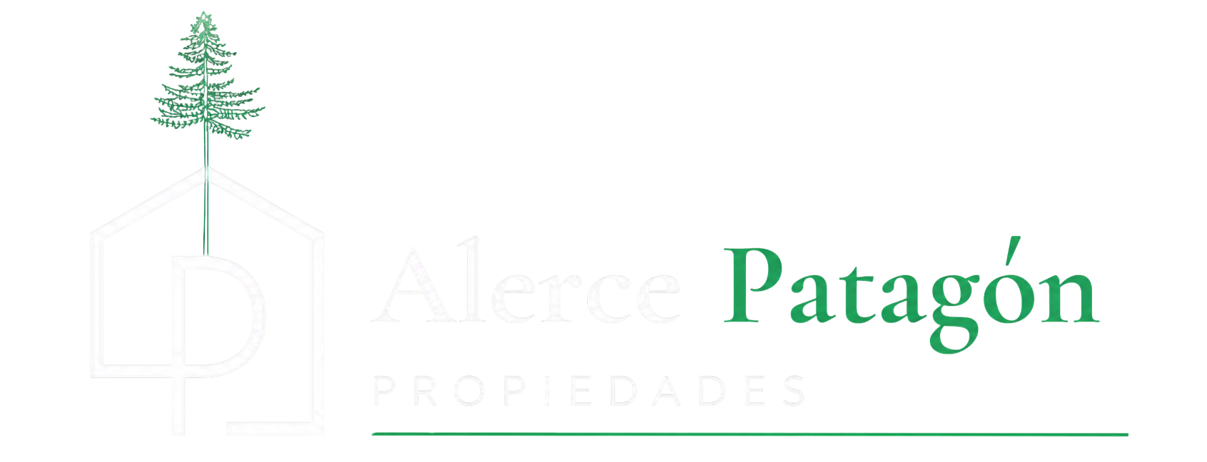 Partner Estratégico Alerce